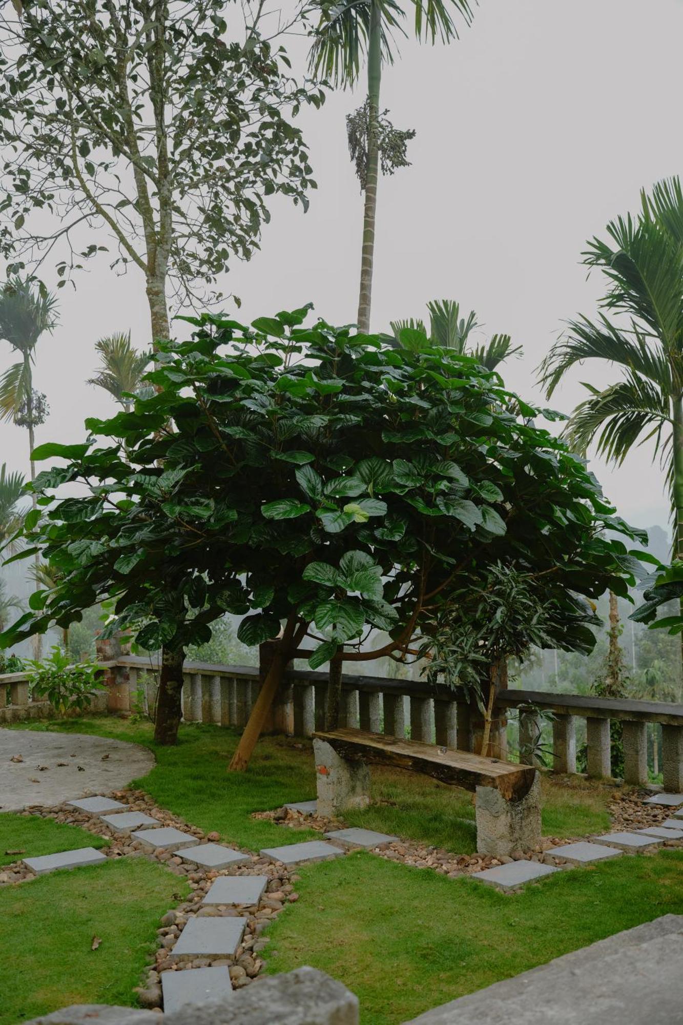 Haze Woods Resort Vaduvanchal Exterior photo